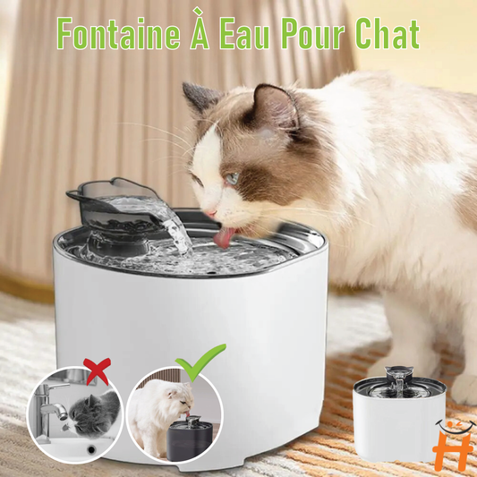 Fontaine À Filtre Automatique Pour Chats Et Chiens