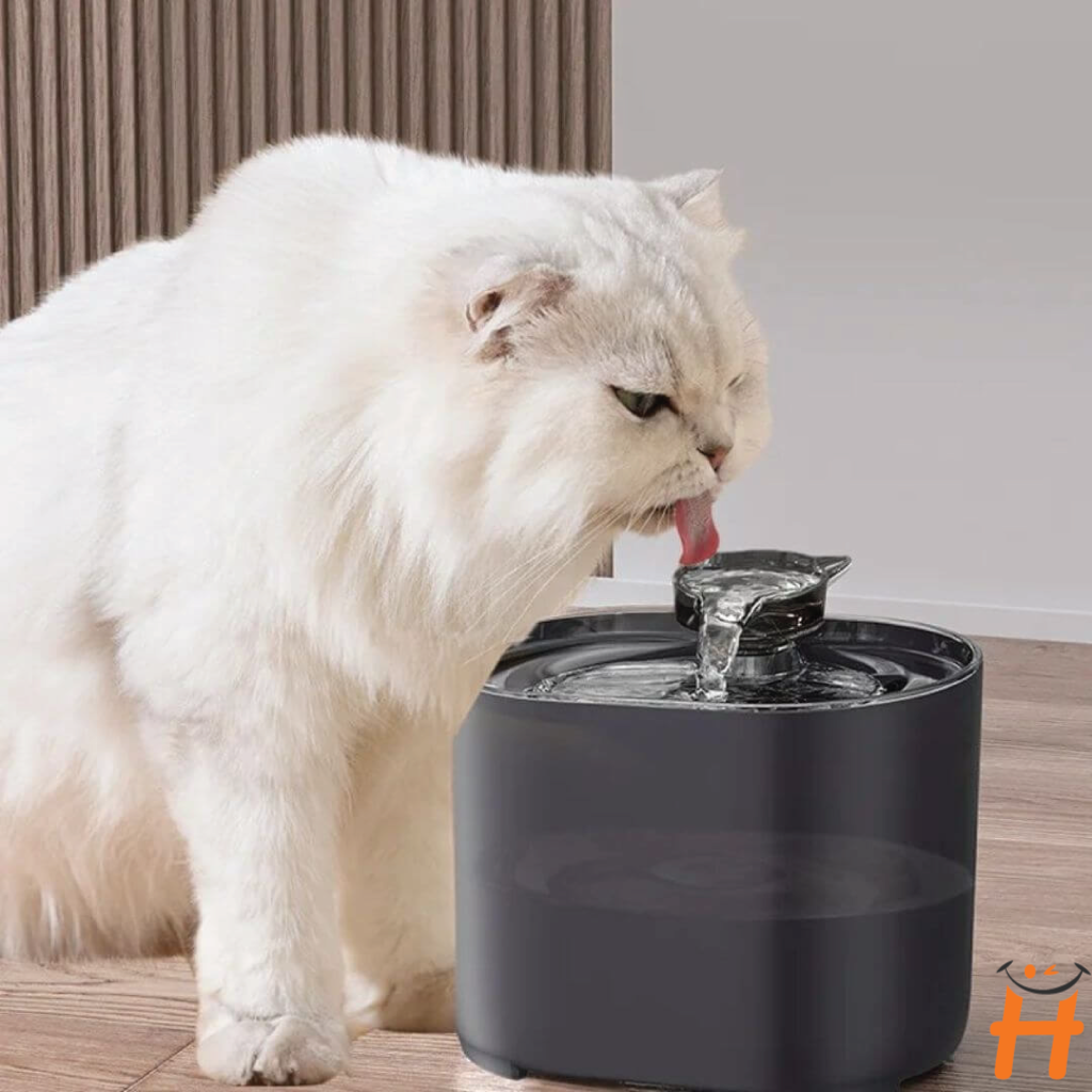 Fontaine À Filtre Automatique Pour Chats Et Chiens