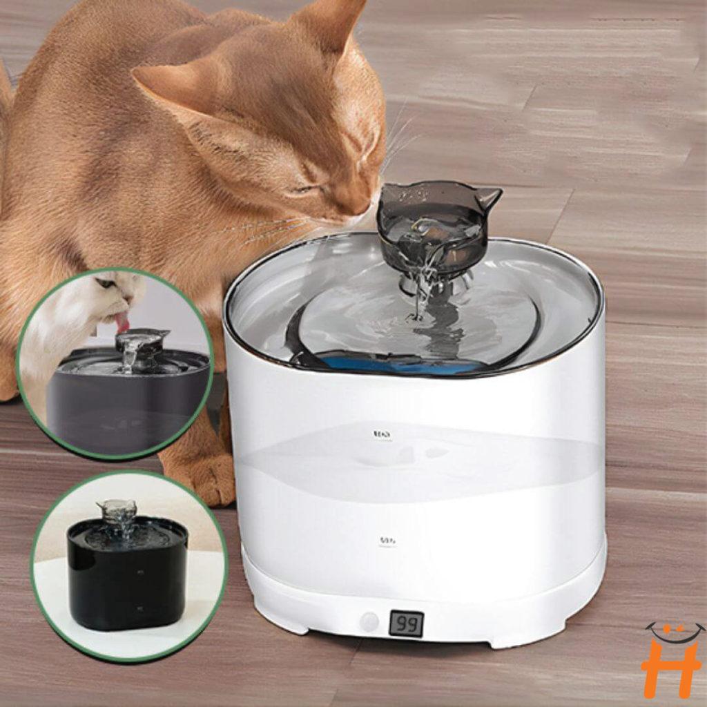 Fontaine À Filtre Automatique Pour Chats Et Chiens